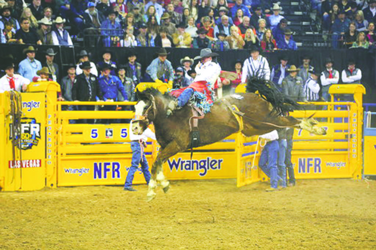 Former Gerry Rodeo winner claims world title News, Sports, Jobs